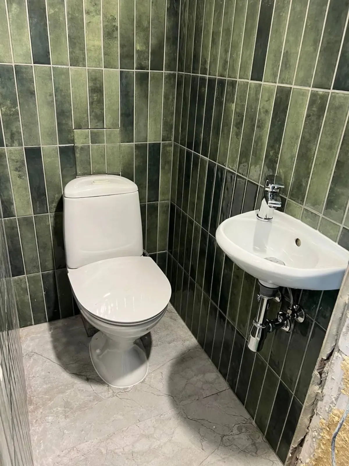 Žalių plytelių WC
